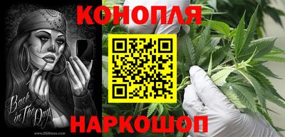Альфа ПВП Камышлов