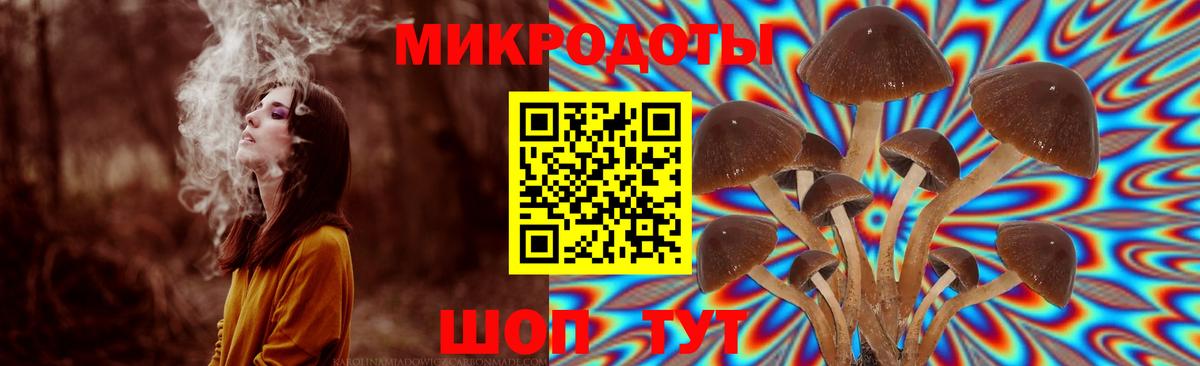 Псилоцибиновые грибы ЛСД Калуга
